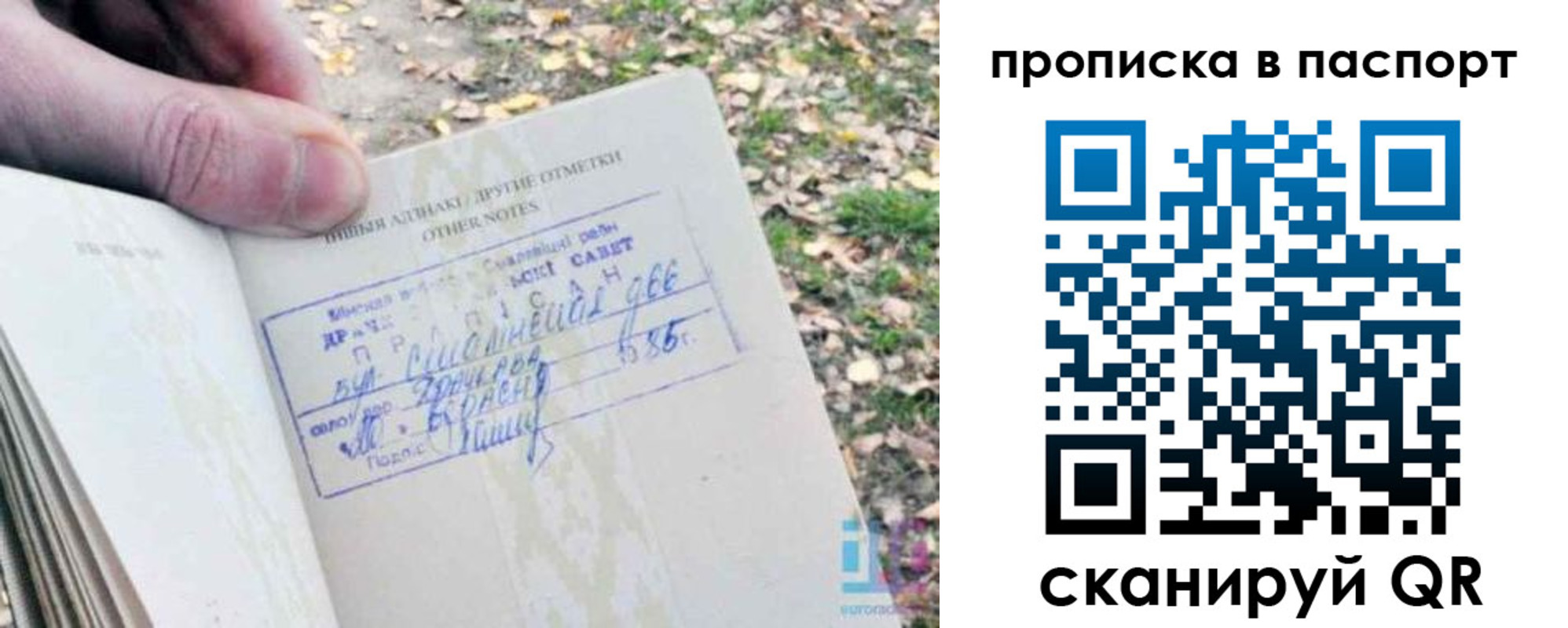 купить прописку в Дальнереченске